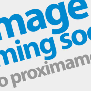 New Overstock Wireless Lamp Speaker System